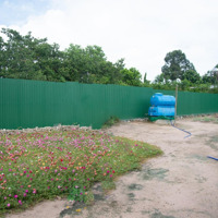 Cần Bán Gấp Lô Đất Sổ Đỏ 350M2, Gần Ubnd Xã Phú Điền