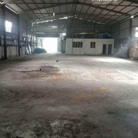 Cho Thuê 800M2 Kho Xưởng Hóc Môn