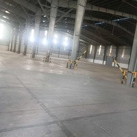 Xưởng Cho Thuê Giá Rẻ, Hòa Lợi, Bình Dương. Diện Tích Đất 2000M2, Xưởng 1200M2, Giá 65 Triệu/Tháng