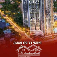 Cơ Hội Cuối Cùng Để Sở Hữu Căn Hộ Cao Cấp Tại Dự Án Hoàng Huy Commerce