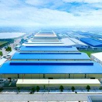 Cần Bán Đất Nhà Xưởng Rộng 1,7Ha Trong Đó Có 7000M2 Nhà Xưởng Khu Bãi Tasa Đường Nguyễn Bỉnh Khiêm