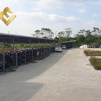 X885. Cho Thuê Kho Xưởng Mỹ Hào, Hưng Yên 3000M2 Có Tba 600Kva, Pccc Tự Động Giá 65 Nghìn/M2/Th