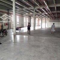 Cần Cho Thuê Kho Xưởng Trong Khu Công Nghệ Cao, Quận 9