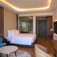 Oyster Bay Vũng Tàu - Rổ Hàng Gốc Từ Cđt Căn Hộ Mặt Tiền Biển Liền Kề Gành Hào View Trực Diện Biển