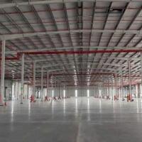 Cho Thuê 10.000 m2 Xưởng Mới Trong KCN Bình Dương Tháng 7 2024