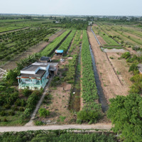Bán Đất Vườn Xã 3400M2 Mặt Tiền Đan Xã Phú Thạnh
