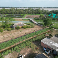 Bán Đất Vườn Xã 3400M2 Mặt Tiền Đan Xã Phú Thạnh
