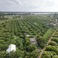 Bán Đất Vườn 2800M2 Xã Phú Thạnh