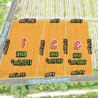 1000M2 Vườn (19,5 X51) View Kênh Siêu Đẹp Cần Bán Gấp Tại Bình Đức - Bến Lức