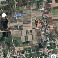 Cần bán gần 2000m đất nông nghiệp, đường betong 6m sát dân Cam An Nam, Cam Lâm, Khánh Hòa