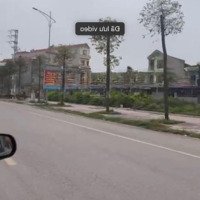 Bán Đất Đấu Giá Mặt Đường Lớn 5X20M Dục Quang, Thị Trấn Bích Động, Việt Yên, Bắc Giang