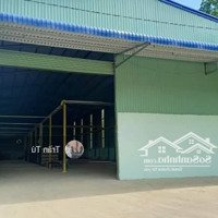 Cho Thuê Kho Xưởng T Diện Tích: 1000M2, Có Bình Điện 75Kva, Xưởng Cao Đẹp, Xa Dân