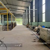 Cho Thuê Kho Xưởng T Diện Tích: 1000M2, Có Bình Điện 75Kva, Xưởng Cao Đẹp, Xa Dân