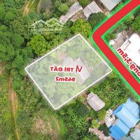 Bán 1300M Có 400M Thổ Cư, Sẵn Nhà Sàn, Nhiều Cây Ăn Trái Chỉ Hơn 600K/M Tại Đà Bắc, Hoà Bình