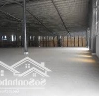 Cho Thuê Kho Xưởng 3.000M2 Bình Chánh. Pccc Nghiệm Thu, Đường Xe Cont 40F.