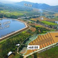 Bán Đất 1.000M2 Giá Chỉ 555 Triệu View Đẹp Gần Hồ Làm Nhà Vườn Gia Đình, Liên Hệ: 0788.558.552