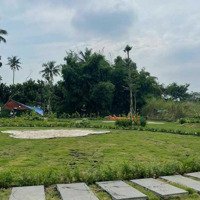 Bán Đất Ở Trảng Bom Đồng Nai Full Thổ Cư, Sổ Sẵn Công Chứng Ngay Chỉ Với 300 Triệuiệu