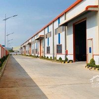 Kcn Long Hậu - Cho Thuê Kho Và Văn Phòng. Tổng 10.000 M2. Giá Thuê Ổn Định. 134.640Đ/M2