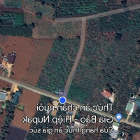 Cần Bán Gấp Lô Đất 13,316M2 Xã Đông Thanh, Lâm Hà