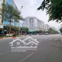 Siêu Đẹp Cho Thuê Nhà Mặt Phố Trần Thái Tông, Cầu Giấy 300M2 X 2 Tầng- Mặt Tiền 15M- Thông Sàn Đẹp