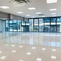 Cho Thuê Gấp Vp Mặt Phố Khuất Duy Tiến Sàn 100M2 Vuông Vắn, Vị Trí Đẹp, Giá Bán 15 Triệu. Liên Hệ: 0982 908 245