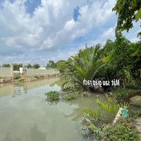 Hcm - Quận 9 - Đất Đẹp 1.200M2 Sát Khu Đô Thị Mới Đông Tăng Long