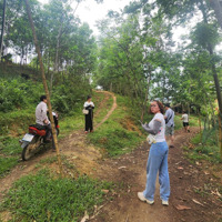 E Bán Lô Đất Nằm Trong Bản Du Lịch Cộng Đồng Ngòi Hoa , View Hồ Toàn Cảnh ,Thế Đất Phẳng Cao Thoáng