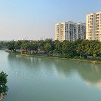 Bán Biệt Thự Hoa Phượng 248M2 Hoàn Thiện Full Đồ Về Ở Luôn. View Sông Rộng. Đường Thông. Giá Bán 58 Tỷ