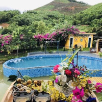 ==Cần Chuyển Nhượng Khu Hommstay=- Diện Tích 2000M Cực Đẹp Tại Hoà Lạc. Giá Cực Tốt