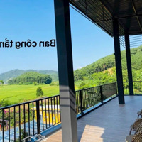 ==Cần Chuyển Nhượng Khu Hommstay=- Diện Tích 2000M Cực Đẹp Tại Hoà Lạc. Giá Cực Tốt