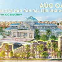 Bán Biệt Thự Đơn Lập Góc Đảo Dừa Giá Chỉ 130 Triệu/M2 Vinhomes Ocean Park 2 Hưng Yên