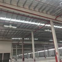 Cho thuê nhà xưởng 12.000m2 Khu CN Yên Phong – Bắc Ninh, PCCC tự động