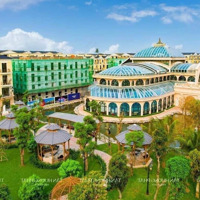 Chính Chủ Cần Tiền Bán Gấp Căn Liền Kề 63M2 Dự Án Vinhome Ocean Park 2