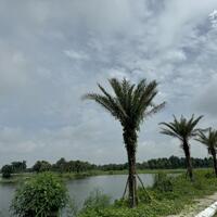 Bán đất biệt thự view hồ khu Nam đầm vạc, Vĩnh Yên, Vĩnh Phúc. cạnh quảng trường, sân golf.