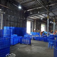 Cho Thuê Kho Xưởng Quận 7,Diện Tích500M2, Trần La Phông Mát Sạch, 2 Cửa Nhập Xuất Rộng Rãi