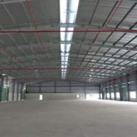 Cho Thuê Kho Xưởng (21.000M2, Xd 11.600M2) Kcn Đức Hòa, Long An