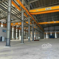 Cần Cho Thuê 15000M2 Đất Có 6000M2 Kho Nhà Xưởng Kcn Hòa Khánh Liên Chiểu Đà Nẵng