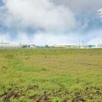 Lô đất 4ha trong KCN Mỹ Trung, Nam Định siêu hot cần chuyển nhượng