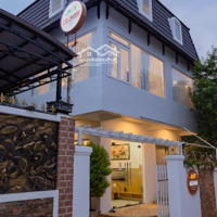 Bán Villa Kinh Doanh Mai Anh Đào, Phường 8, Đà Lạt. Đang Cho Thuê 25 Triệu/Tháng