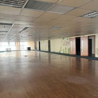 Cho Thuê Văn Phòng Từ 100M - 1000M2 Tại Lạc Trung