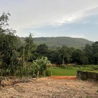 Bán đất tại Đại Đình, Tam Đảo, Vĩnh Phúc. DT 4000m2 giá 5 tỷ