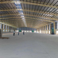 Cho Thuê 6000M2 Kho Xưởng Hóc Môn