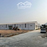 Cho Thuê Kho Xưởng Tại Cao An Cẩm Giàng Hải Dương:diện Tích2500M2, 5000M2