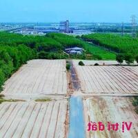 GẤP 200m2 Thổ Cư Sổ Sẵn Ngay KCN Của Phương Minh Thành GÍA NGỘP