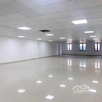 Cho Thuê Tòa Nhà Nguyên Căn View Công Viên Khu Đấu Giá Nam Trung Yên.diện Tích100M2 X 9 Nổi 1 Hầm. 100 Triệu