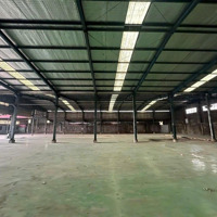 Cho Thuê Xưởng Phường An Phú Đông, Diện Tích: 1800M2. Giá: 75 Triệu/Tháng