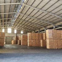 Cho thuê kho xưởng 1000m2, 2000m2, 5000m2 đường Quốc Lộ 51, Long Thành, Đồng Nai