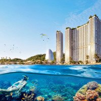 Căn Hộ Libera Nha Trang Tầng 12A View Biển Và Trung Tâm Thành Phố Chỉ 1 Tỷ 659 Triệu