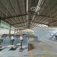 Kho 1.200M2 Ngay Gò Vấp - Giáp Tân Bình. Có Pccc Thẩm Duyệt. Xe Cont Về Đêm.