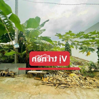 Bán Đất Nền Thổ Cư Diện Tích Rộng Nền Hướng Đông Giá Rẻ Dưới 1,5 Tỷ